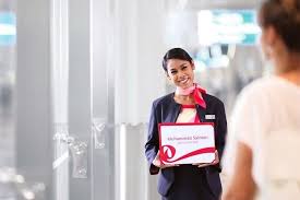 Platinum Meet and Greet Service (Domestic Arrivals)